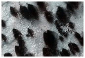 Monitoring Spring Evolution in Ithaca Region