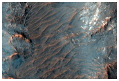 Central Structure of a Large Impact Crater