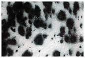 Monitoring Spring Evolution in Starfish Region