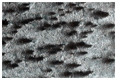 South Polar Seasonal Cap