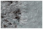 Monitoring Seasonal Changes at South Polar Cracked and Gullied Site