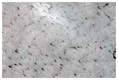 South Polar Fans and Polygons