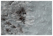 Monitoring Seasonal Changes at a South Polar Cracked and Gullied Site