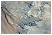 Slope Features on Wall of Palikir Crater