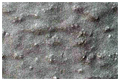 Monitoring Seasonal Changes at South Polar Cracked and Gullied Site