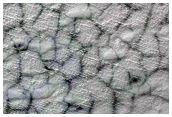 South Polar Residual Cap in Spring