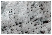 South Polar Seasonal Cap