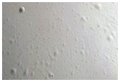 Crater Cut by Faults and Graben
