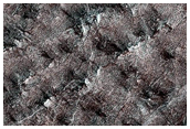 South Seasonal Polar Cap