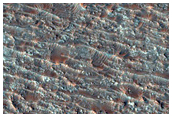 Possible Olivine-Bearing Plains in Tyrrhena Region