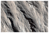 Mass Wasting in Olympus Mons Aureole