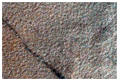 Disaggregated Polygons on Northern Rim and Interior of Crater
