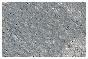 Circular Features in Western Elysium Planitia