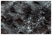 Spider Terrain
