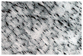 South Polar Fans and Polygons