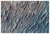 Gullied Crater