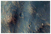 Possible Monohydrated Sulfate-Rich Terrain in Columbus Crater