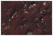 Spider Terrain
