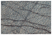 Terrain Sample