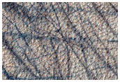 Terrain Sample