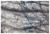 Terrain Sample