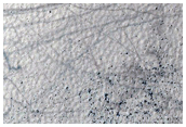 Terrain Sample