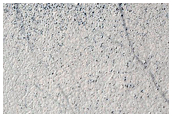 Terrain Sample