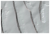 Fingerprint Terrain with Sawtooth Pattern