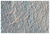 Well-Preserved 10-Kilometer Diameter Gullied Impact Crater
