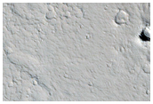 Many Small Cones in Amazonis Planitia