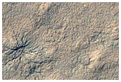 Spider Terrain