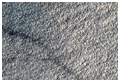 Terrain Sample