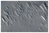 Candidate New Impact Formed between July 2006 and January 2010