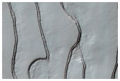 Fingerprint Terrain with Sawtooth Pattern