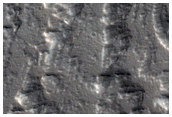 Possible Olympus Mons Lava Flow Features