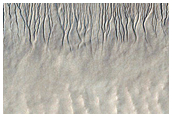 Linear Gully in Hellas Basin Region