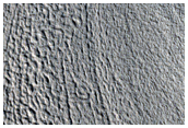 Valley Fill Terrain Sample