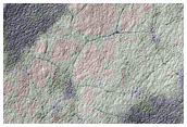 Possible Polar Patchy Ice