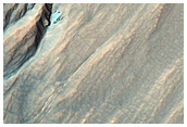 Gully Monitoring Site