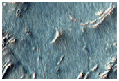 Gullies with Light-Toned Apron Material