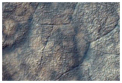 Monitoring Spring Evolution in Starfish Region