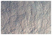Gully Apron in Crater Southeast of Bosporos Planum