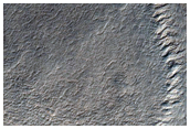 Wavy Polar Layers