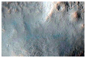 Well-Preserved 7-Kilometer Diameter Gullied Crater in Newton Region