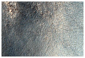 Relatively Sharp-Rimmed Crater