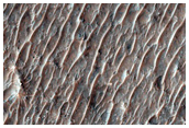 Possible Olivine-Rich Crater Fill in Terra Sirenum