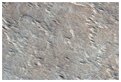 Caldera Floor of Pavonis Mons