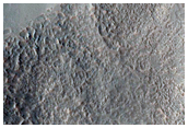 Transient Slope Lineae Feature Monitoring