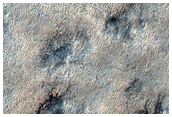 Dune Monitoring