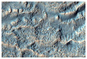 Potentially Active Gully